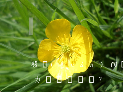 股權(quán)回歸條款是否具有法律效力？
